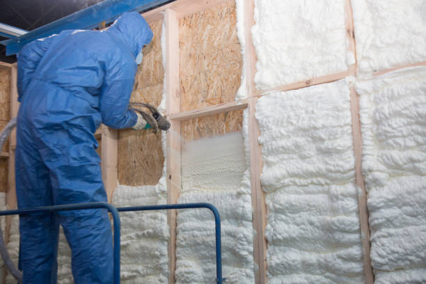 Best Insulation for Metal Buildings  in Thornton, CO